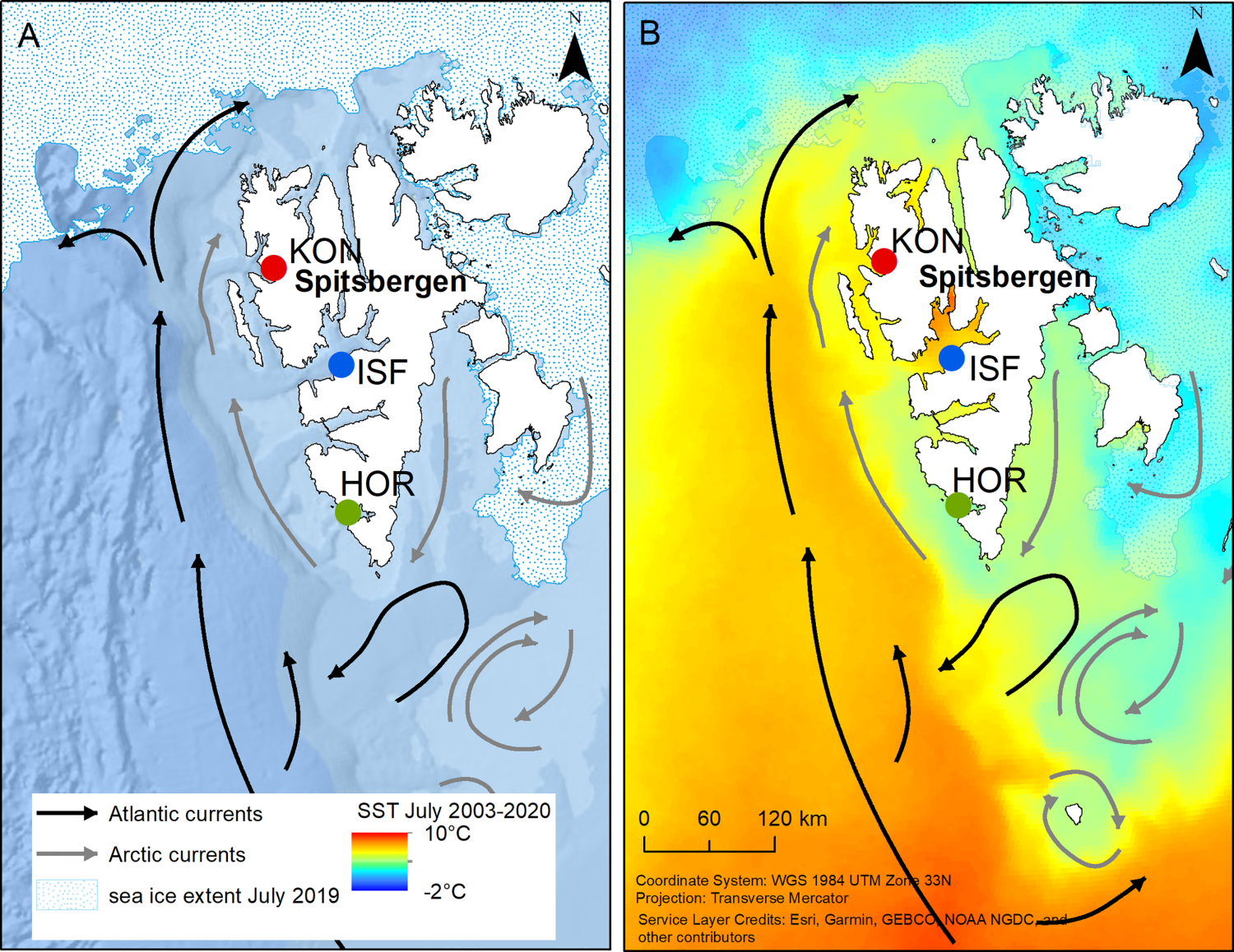 Consequences of Atlantification on a Zooplanktivorous Arctic Seabird ...