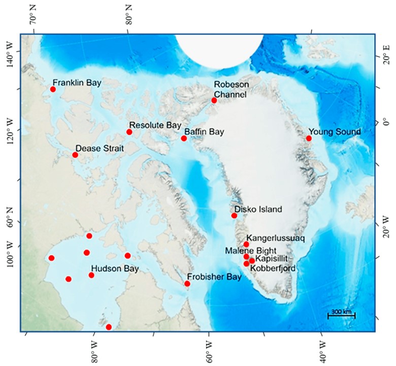 Spatial Variability in the Primary Production Rates and Biomasses (Chl ...